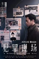 Nonton film A Witness Out of the Blue lk21