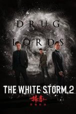 film The White Storm 2: Drug Lords sub indo